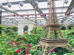 -南宫五洲植物乐园