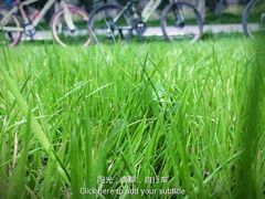 -艾溪湖湿地公园