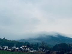 -塔川景区