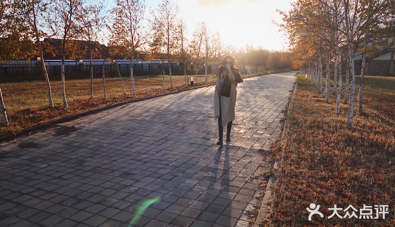 自驾内蒙乌兰布统 只有感悟的旅行🧳