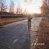 自驾内蒙乌兰布统 只有感悟的旅行🧳