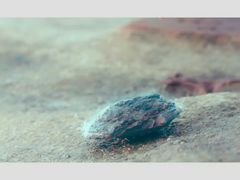 -海鲜皇宫(景泰翰林店)