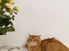 -松松咖啡