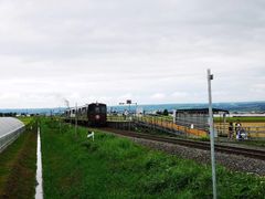 -富田农场
