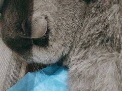 -派特宠物医院(圆融广场店)