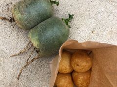 -大连北马山庄