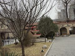 -静园(和平区)