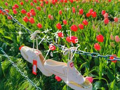 -Feiyue飞跃(长乐路店)