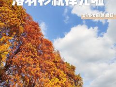 -中国科学院华南植物园