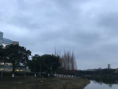 -四川大学(江安校区)