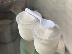 -洪馨椰子