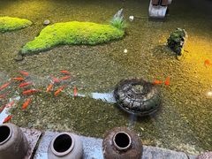 -几荷·恰似故人来(秀水广场店)