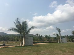 -亚龙湾国际玫瑰谷