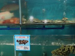-南海渔家•海鲜•正宗海南菜(海棠湾店)