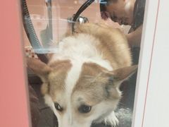 -FAELING PETS美天灵宠物(合生汇店)