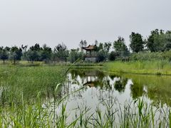 -张家湾公园