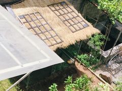 -柞水乾佑红门家菜