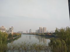 -运河游船(武林门码头)