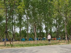 -东郊湿地公园