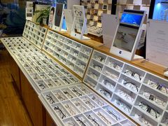 -MiRi眼镜·蔡司·星趣控·尼康控优点视觉合作店(南京东路店)