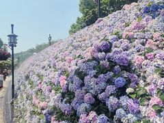 -苏州上方山国家森林公园