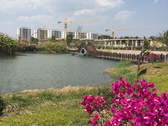 -异龙湖万亩荷花园