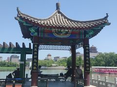 -莲花池公园