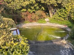 -杭州第一世界大酒店·云曼温泉
