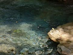 -西岭雪山大飞水景区