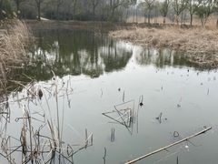 -同里国家湿地公园