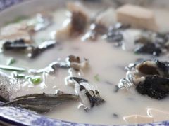 浓汤鱼头-全乐鱼馆·淳牌有机鱼直营店