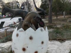 -歌斐颂巧克力小镇