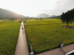 -风云岭森林公园