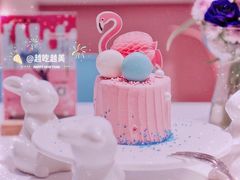 火烈鸟-随心小姐