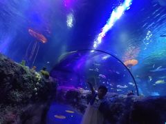 -沈阳海洋探索中心