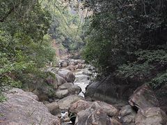 -广州白江湖森林公园