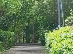 -宝界山林公园