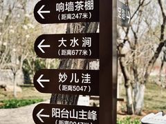 -阳台山自然风景区