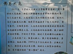 -青藏高原野生动物园