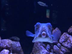 -成都浩海立方海洋公园