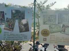 -芦仙山景区-飞越丛林探险乐园