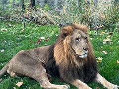 -北京野生动物园