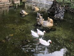 -国恩寺