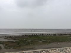 -南汇新城海滩