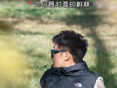 -罗布林卡