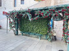 -华谊兄弟（长沙）电影小镇