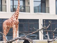 -南京汤山紫清湖生态旅游温泉度假区