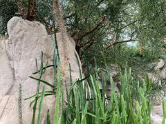 -北京植物园-展览温室