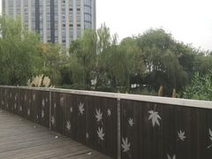 -南翔镇银翔湖公园