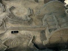 -洛阳周王城天子驾六博物馆